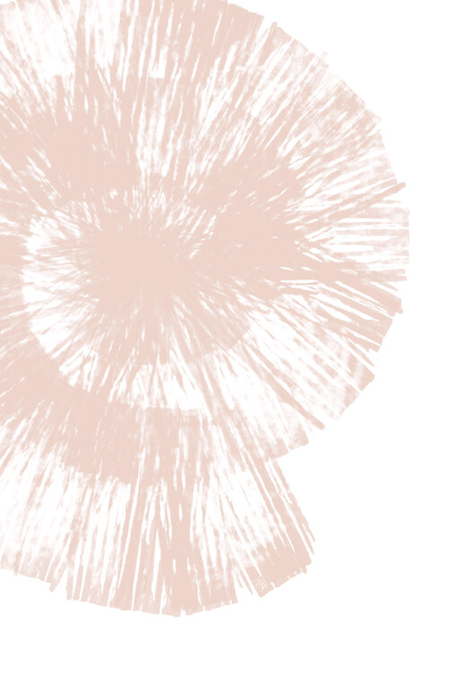 Poster Pink Shell Two