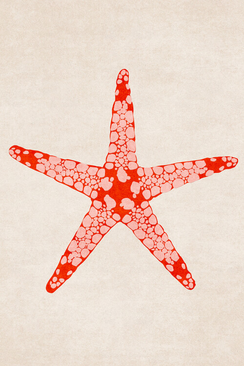 Plakát Emel Tunaboylu - starfish