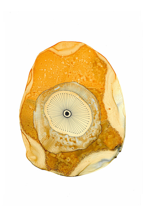 Poster Katherine Heald - Desert Beauty