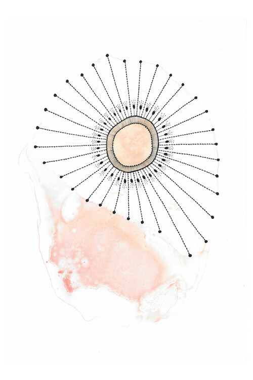 Poster Katherine Heald - Coral Spawning 2