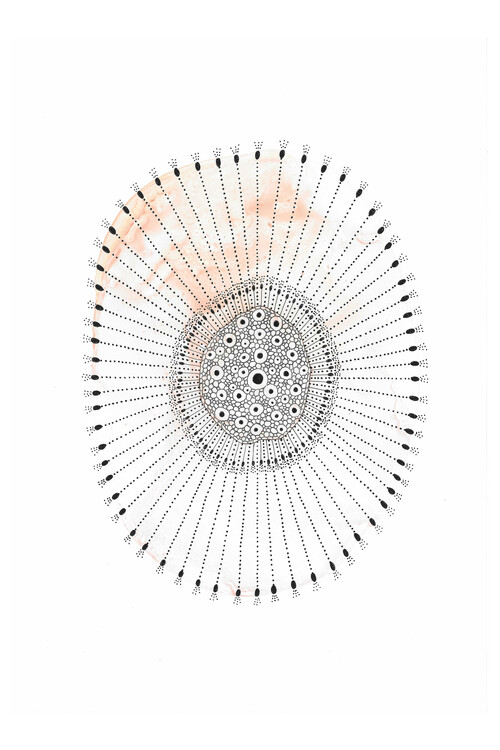 Poster Katherine Heald - Coral Spawning 4