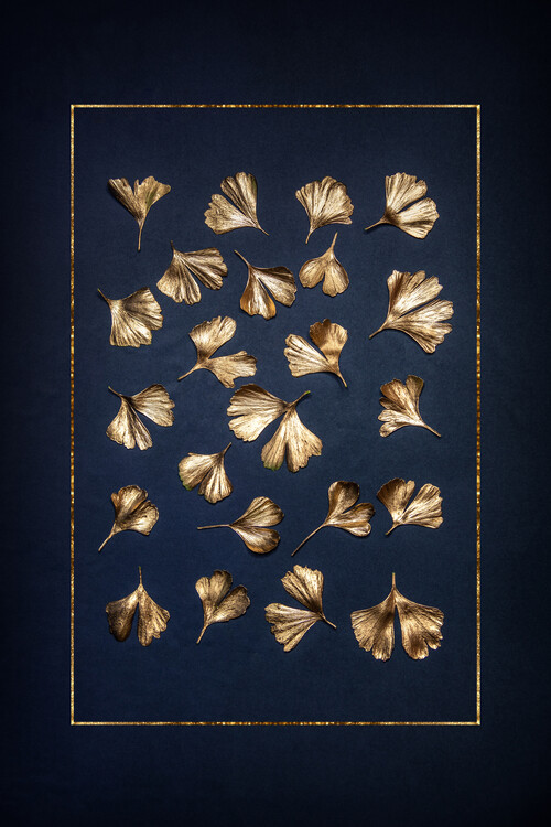 Canvas Print Golden Gingko