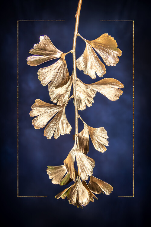 Poster Golden Gingkotree