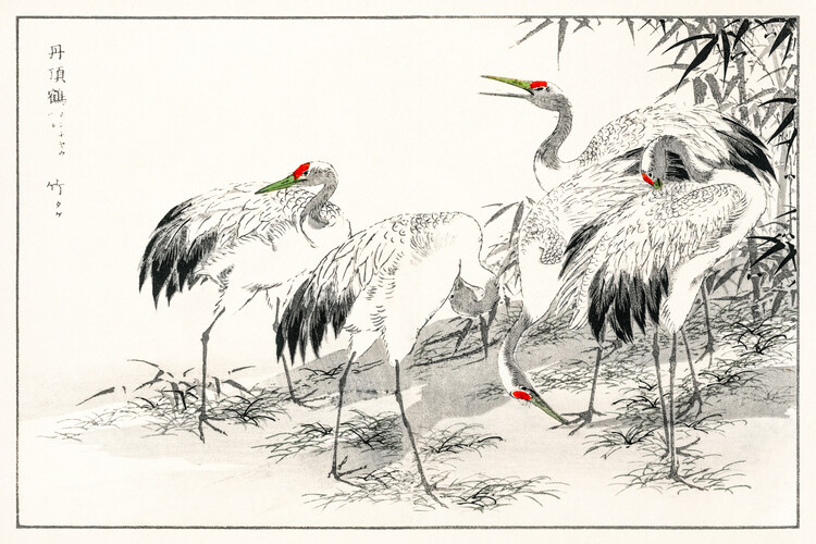 Canvas Print The Japanese Crane