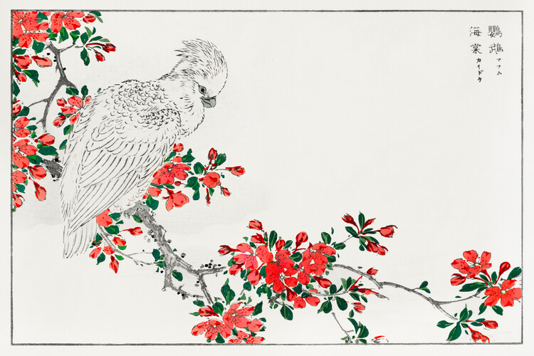 Плакат The Parrot & The Pyrus - Numata Kashu