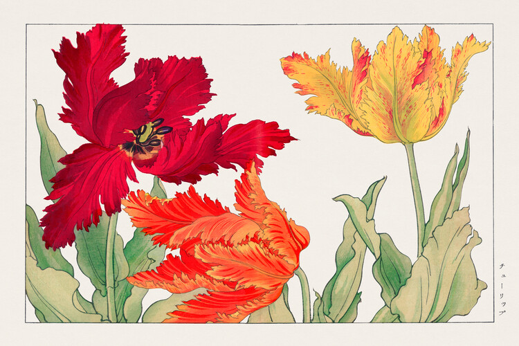 Плакат Parrot Tulips (Japanese Woodblock Floral) - Tanigami Kônan
