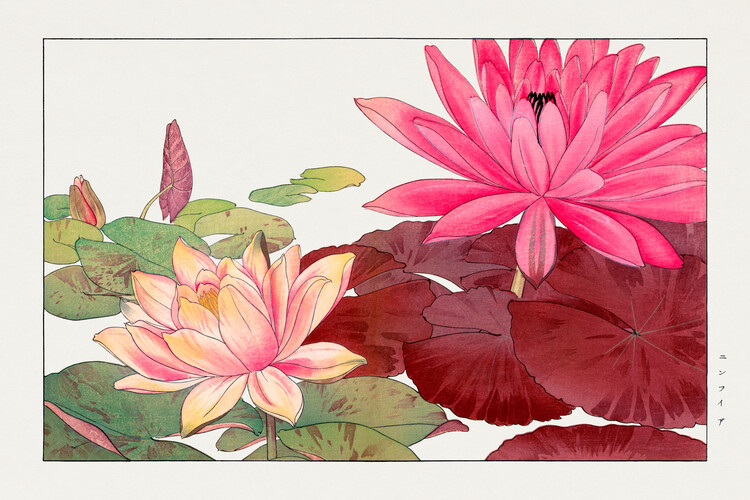 Плакат Pink Lotus (Japanese Woodblock Floral) - Tanigami Kônan