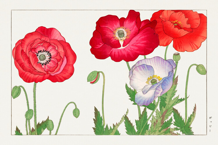 Плакат Vintage Poppy (Japanese Woodblock Floral) - Tanigami Kônan