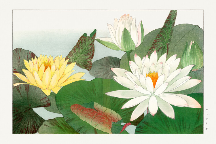 Плакат White Lotus (Japanese Woodblock Floral) - Tanigami Kônan