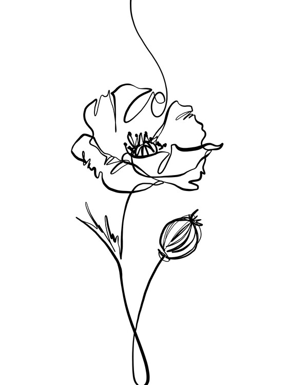 Poster Poppy line drawing
