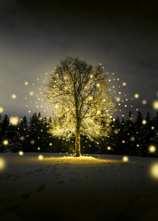 Плакат Tree Life