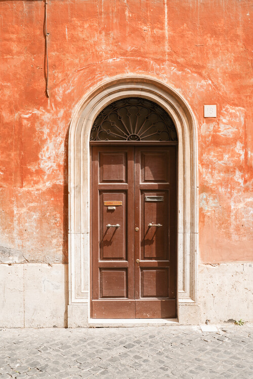 Плакат Wooden Door