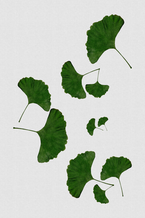 Αφίσα Ginkgo Leaf I