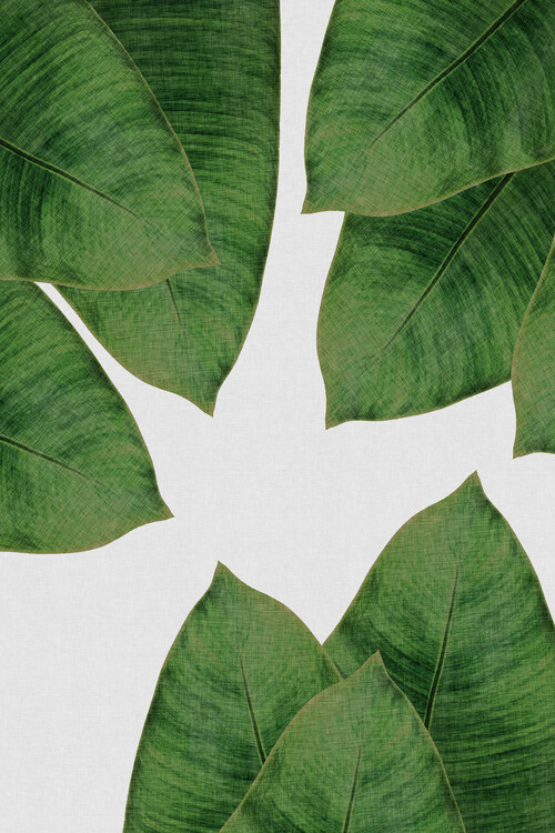 Αφίσα Banana Leaf I