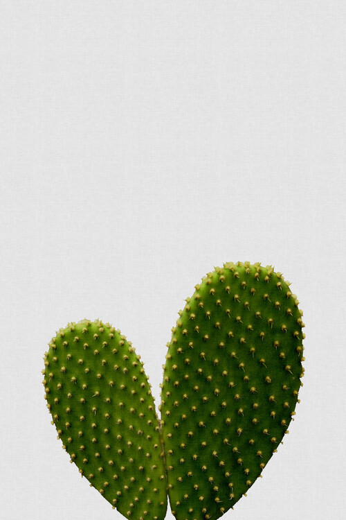 Αφίσα Heart Cactus