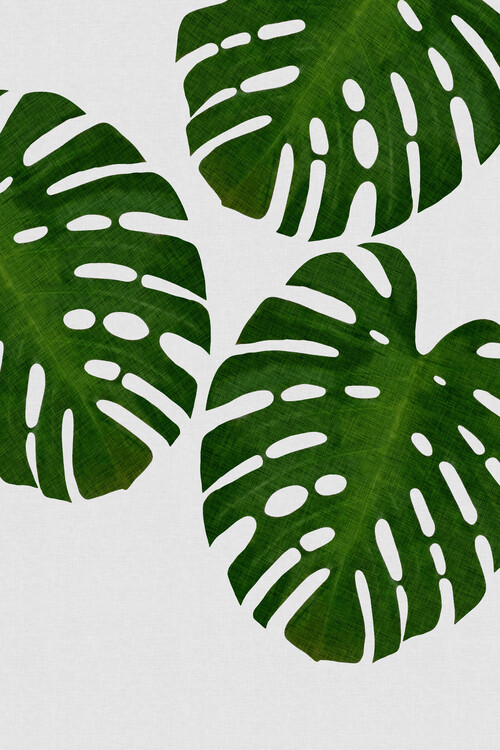 Αφίσα Monstera Leaf III