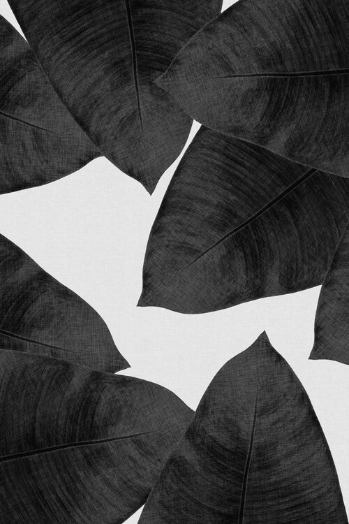 Plakat Banana Leaf Black & White II
