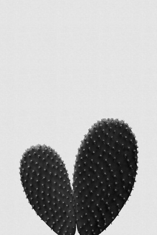 Plakat Heart Cactus Black & White