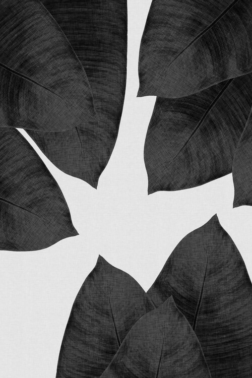 Αφίσα Banana Leaf Black & White I