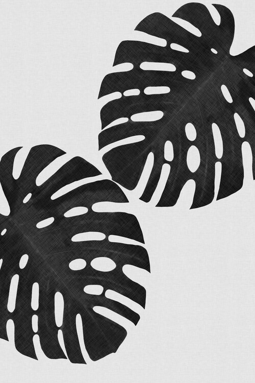 Αφίσα Monstera Leaf Black & White II
