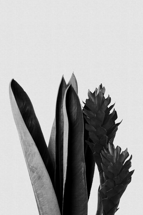 Plakat Flower Black & White