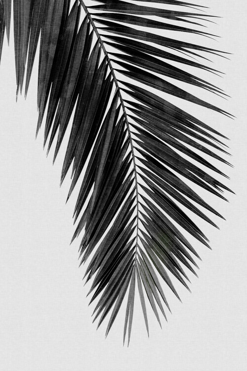 Plakat Palm Leaf Black & White I