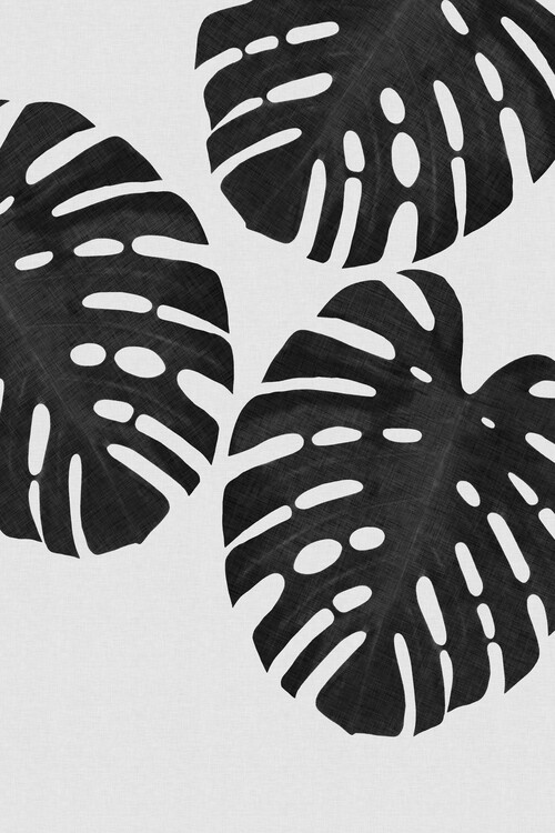 Plakat Monstera Leaf Black & White III
