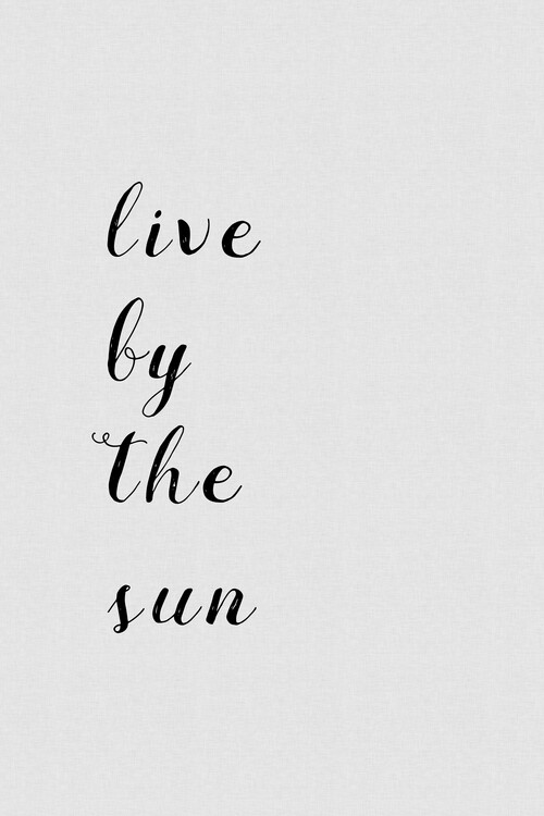 Poster Live By The Sun Quote