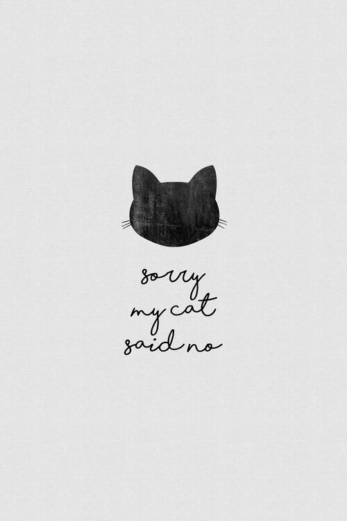 Poster Sorry My Cat Said No