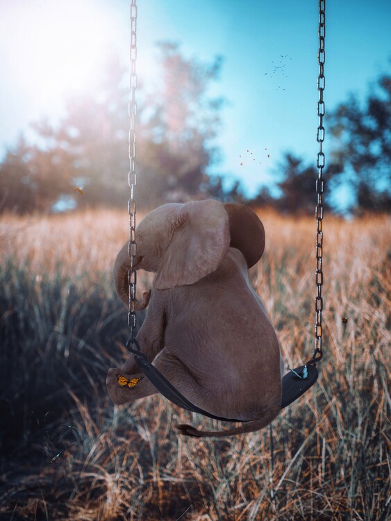 Poster Baby Elephant on Swing with Butterflies