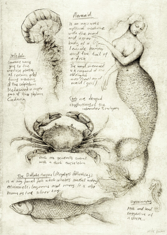 Plagát Sea Animals