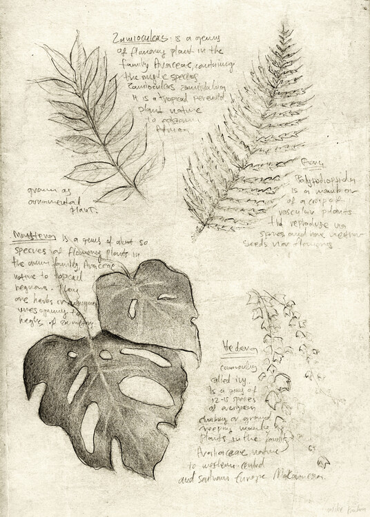 Plagát Plants