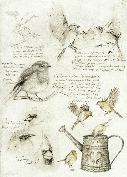 Plagát Birds