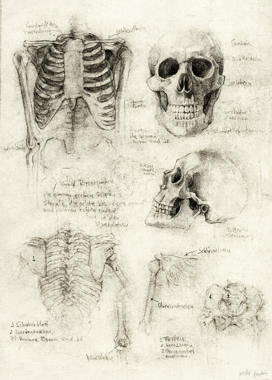 Poster Skeleton