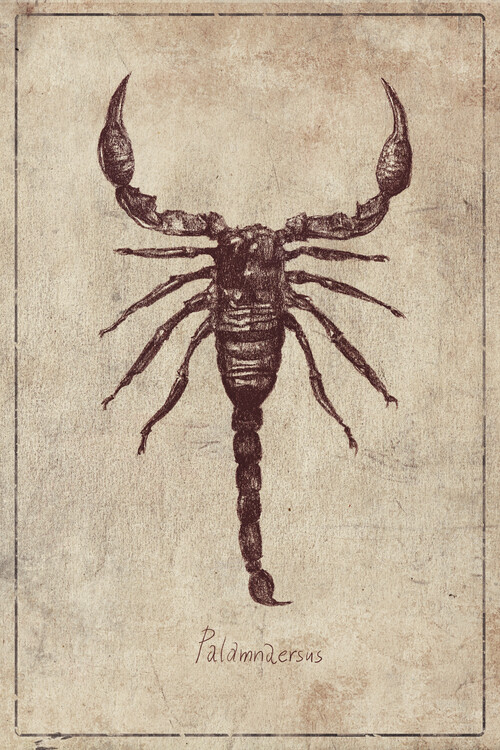 Poster Palamnaersus