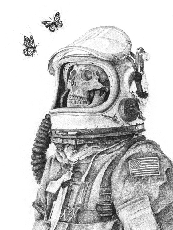 Poster Butterflies in Space