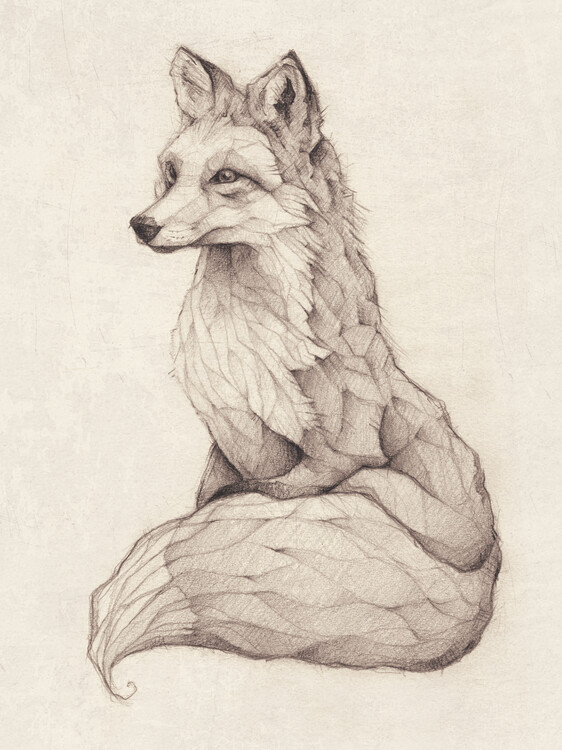 Poster Fox