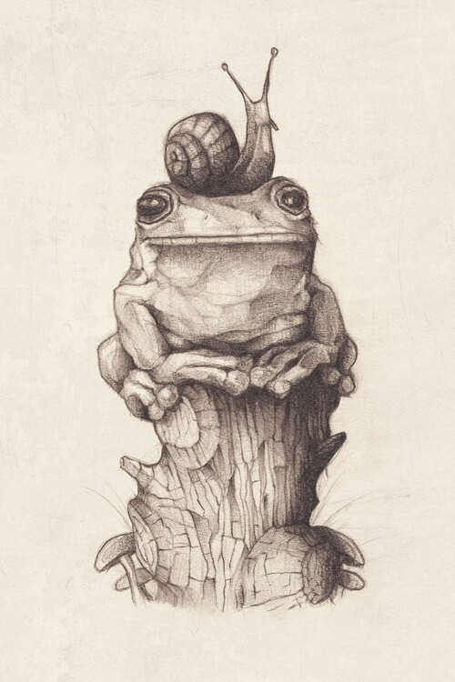 Poster Frog and Snail
