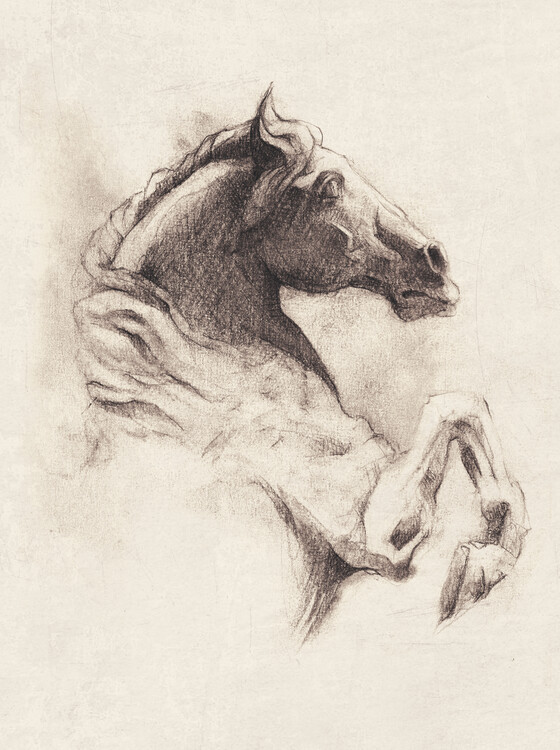 Poster Horse