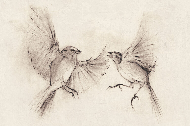 Poster Birds