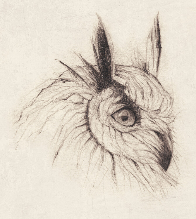 Poster Owl