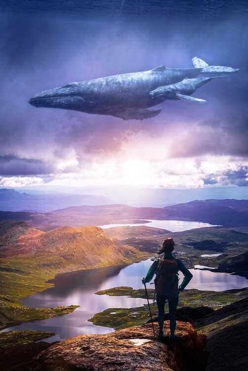 Plagát Encounter with a flying whale in sky
