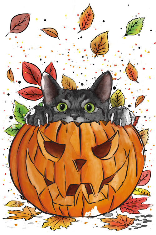 Poster Curious cat