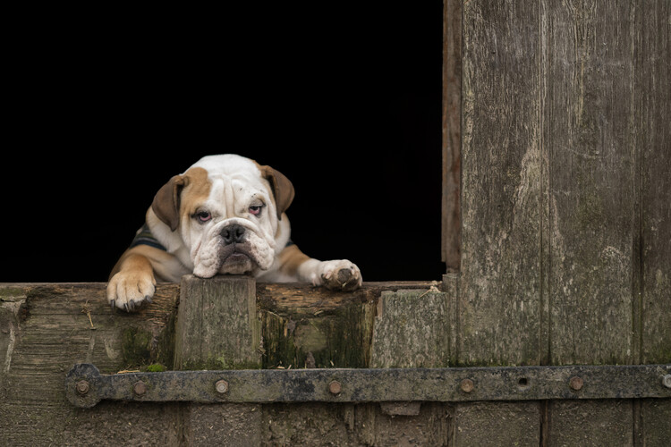 Poster Got that Monday feeling...