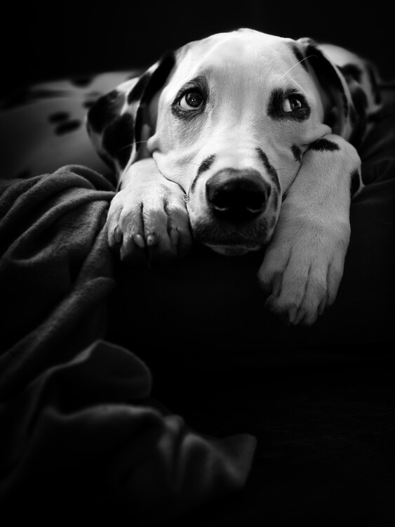 Poster nothing is happening