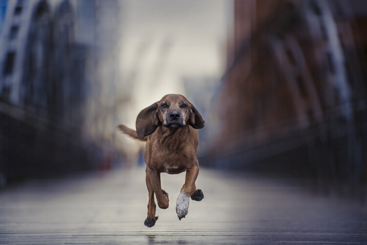 Poster Limits, like fear, is often an Illusion