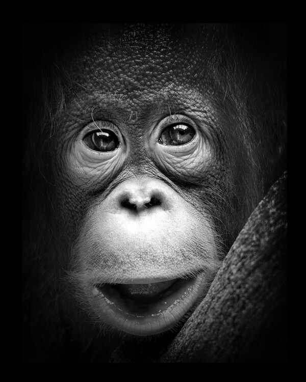 Canvas Print Innocent