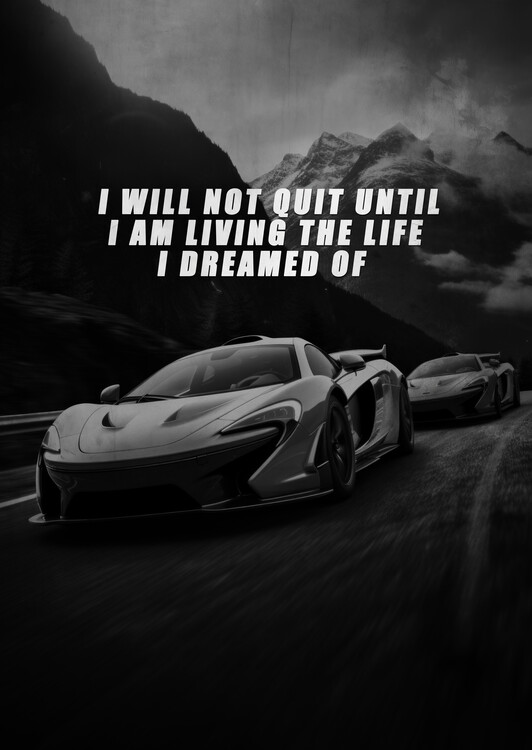 Poster Motivation - i will not quit