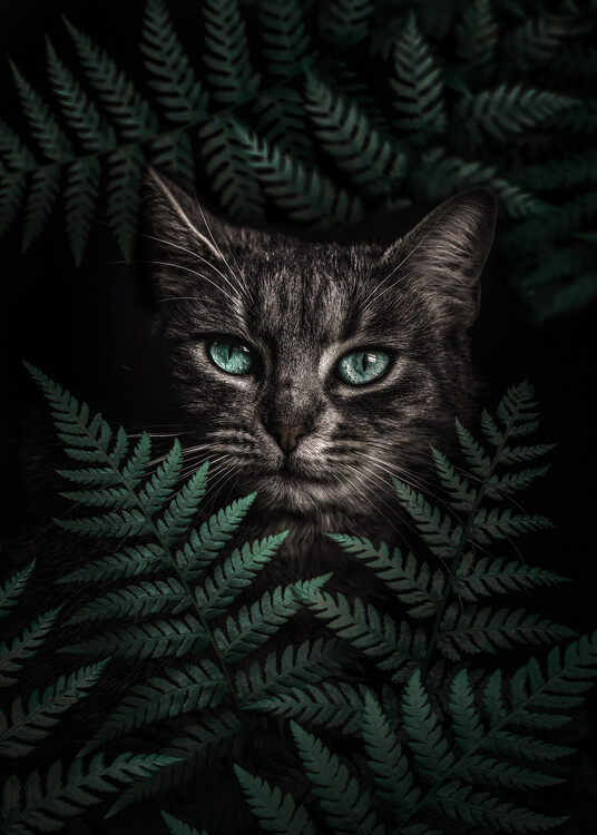 Poster Green Eyes Cat With Ferns