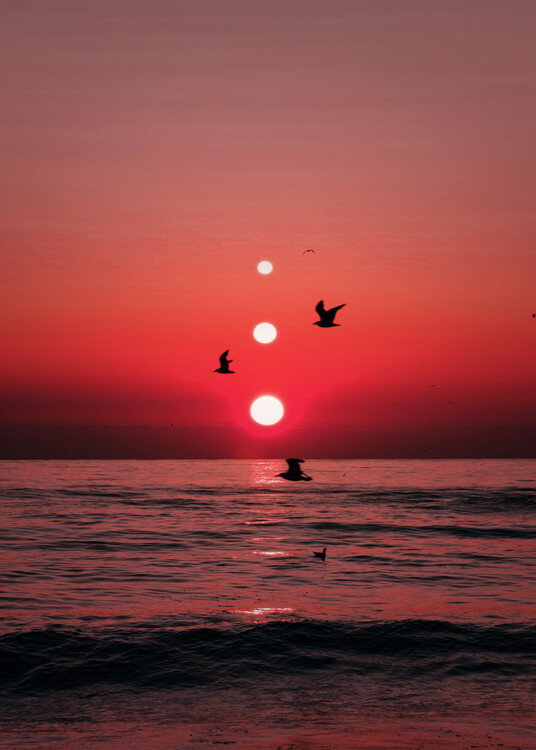 Plagát Three Sunset and Birds